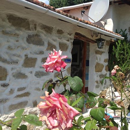 Villa D'Arte Mortola Superiore Kamer foto