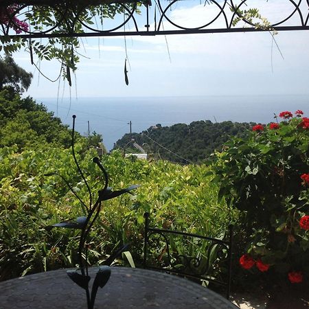 Villa D'Arte Mortola Superiore Kamer foto