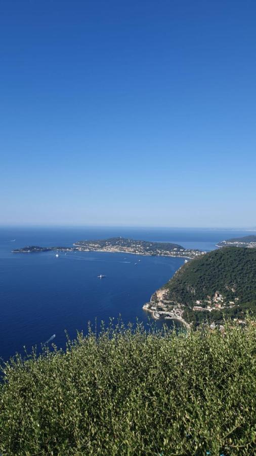 Villa D'Arte Mortola Superiore Buitenkant foto