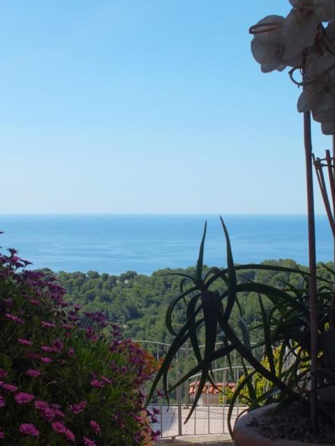 Villa D'Arte Mortola Superiore Buitenkant foto