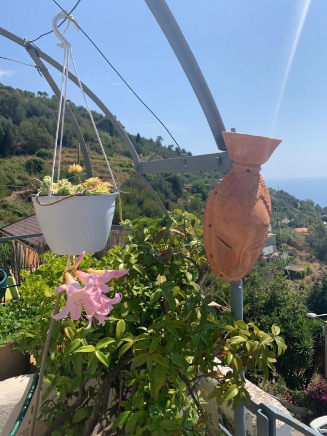 Villa D'Arte Mortola Superiore Buitenkant foto