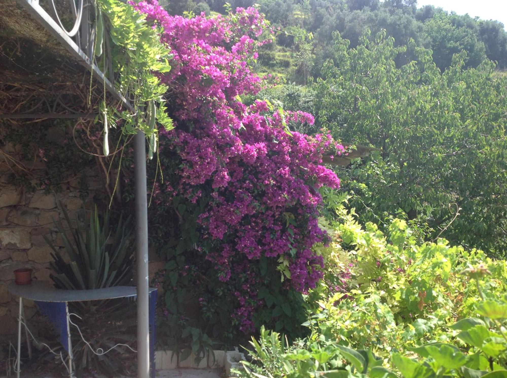 Villa D'Arte Mortola Superiore Kamer foto